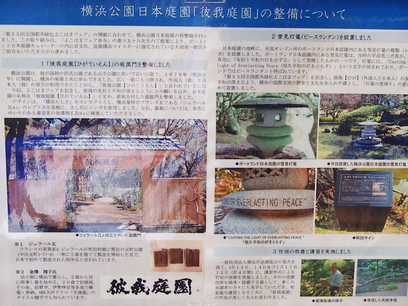オープン戦が中止になったので横浜公園で小さな春を見つけて来た