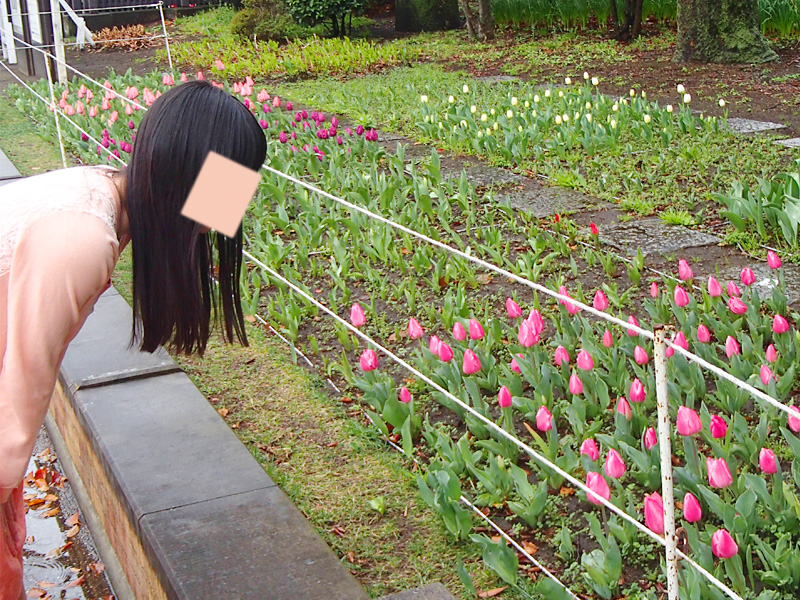 オープン戦が中止になったので横浜公園で小さな春を見つけて来た