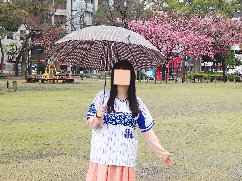 オープン戦が中止になったので横浜公園で小さな春を見つけて来た