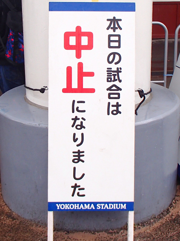 オープン戦が中止になったので横浜公園で小さな春を見つけて来た