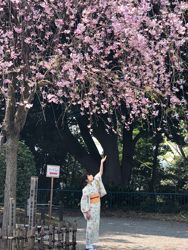 掃部山公園でお花見してきた。