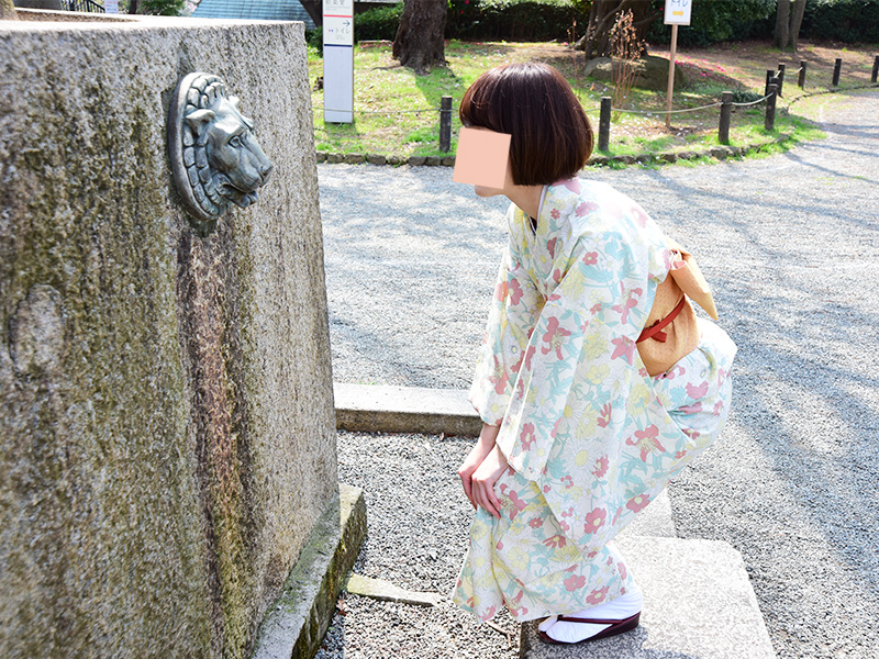 掃部山公園でお花見してきた。