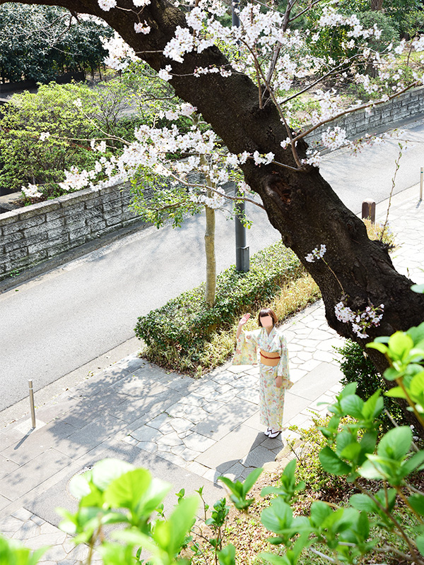 掃部山公園でお花見してきた。