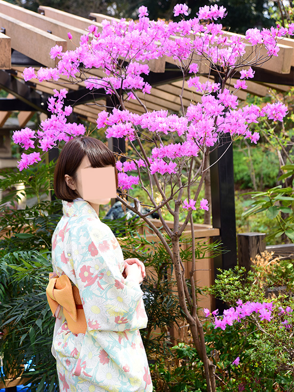 掃部山公園でお花見してきた。