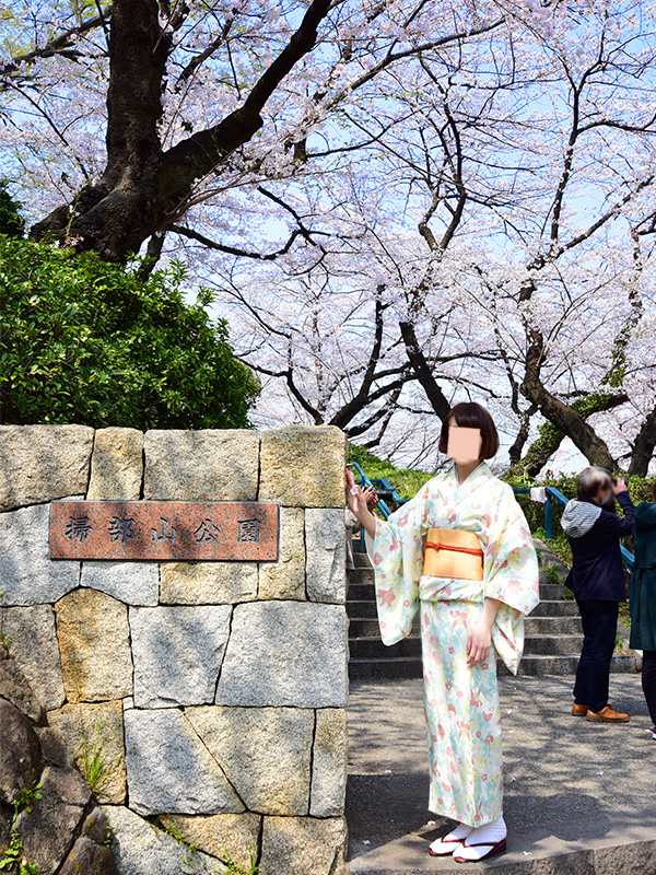 掃部山公園でお花見してきた。