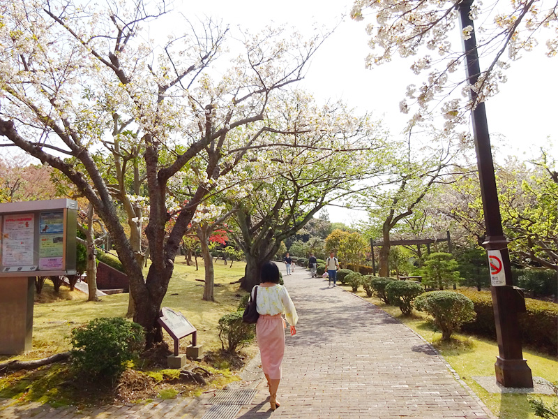 馬の博物館