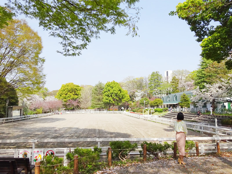 馬の博物館