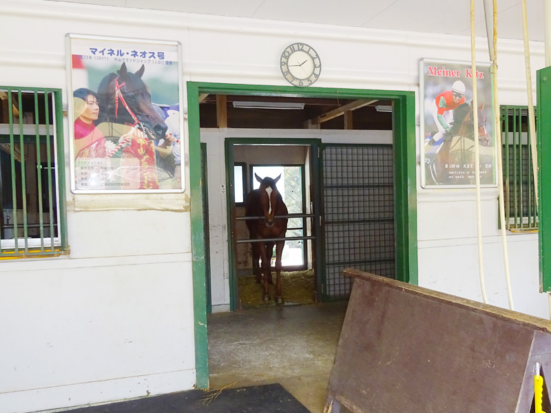 馬の博物館