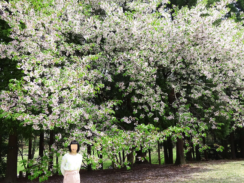 根岸森林公園 立花わかな