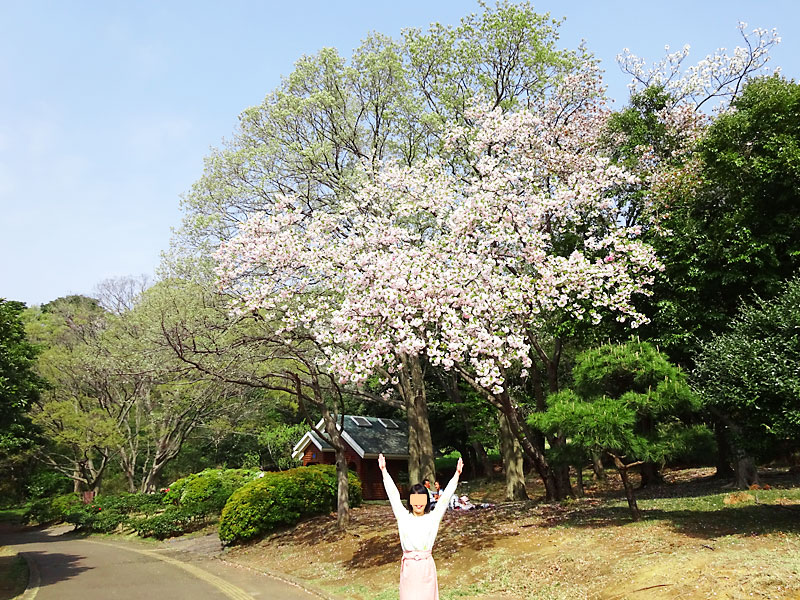 根岸森林公園 立花わかな