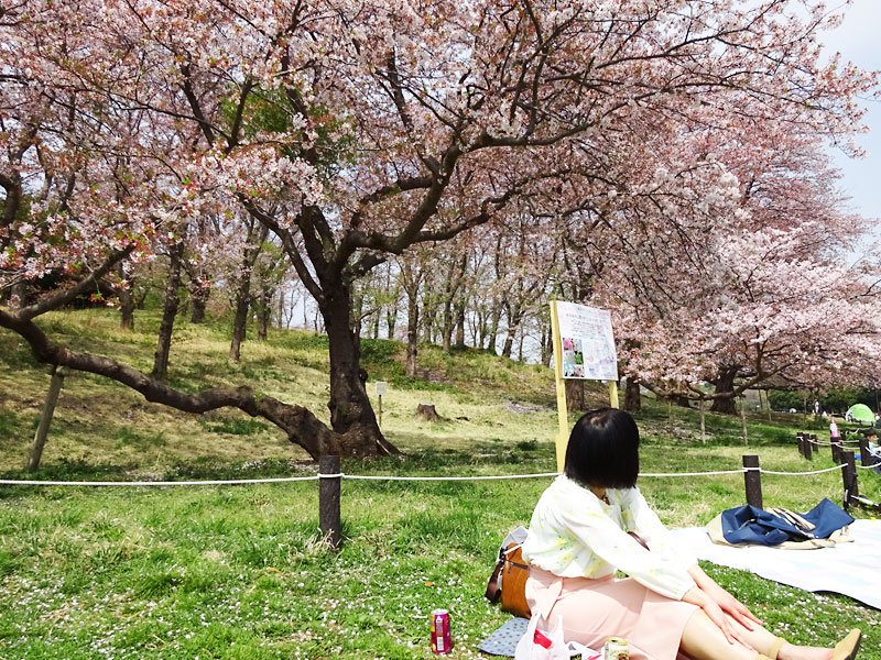 根岸森林公園 立花わかな