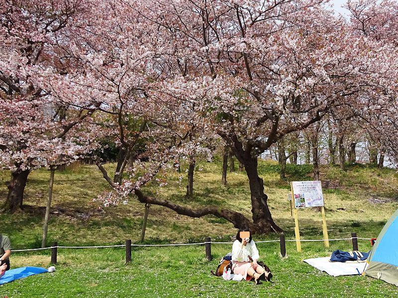 根岸森林公園 立花わかな