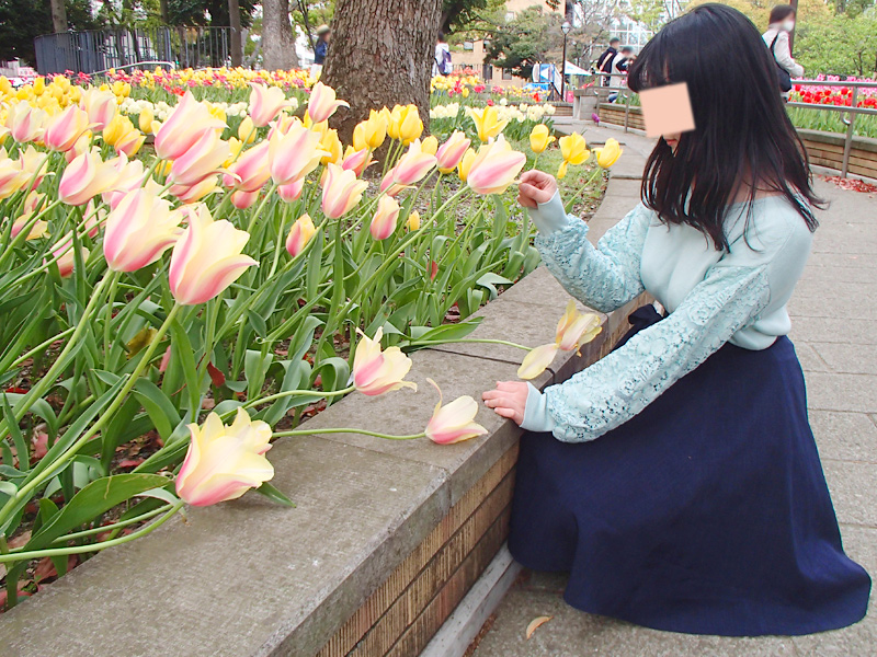 横浜公園