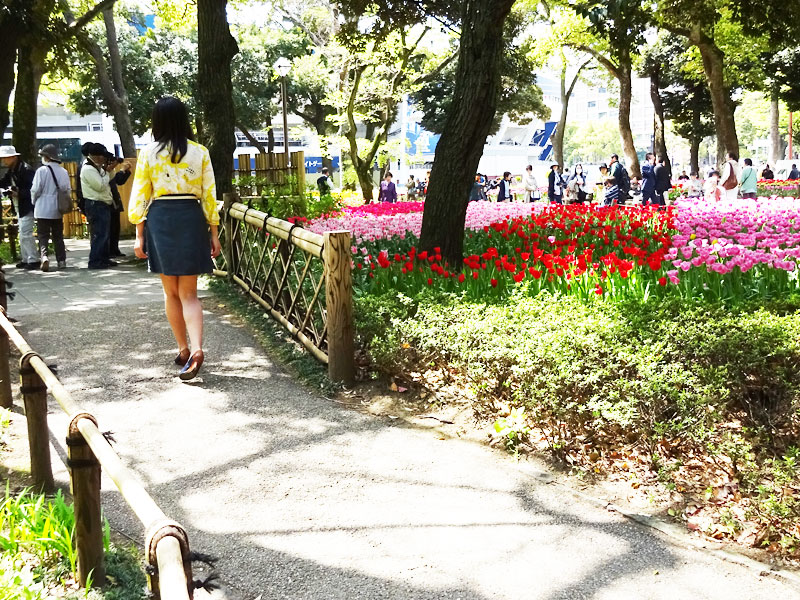 ぶら散歩横浜公園・堀ちえみ