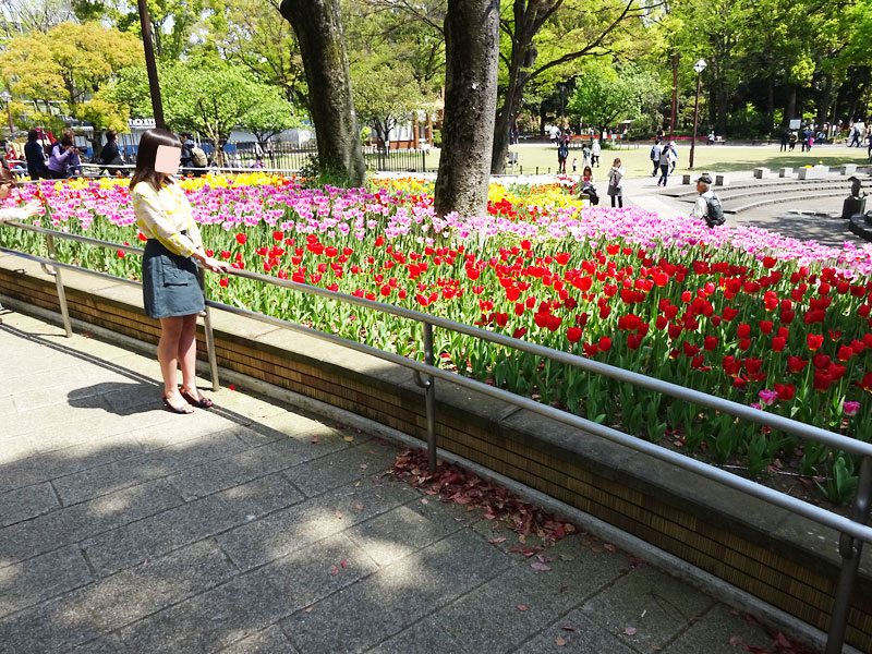 ぶら散歩横浜公園・堀ちえみ