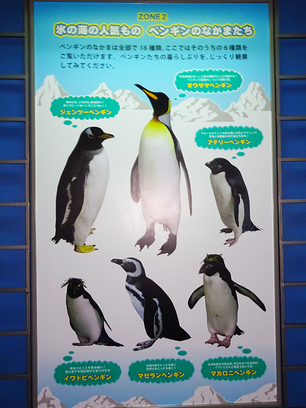 八景島シーパラダイス