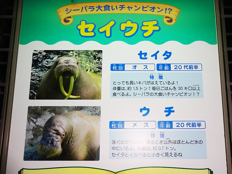 八景島シーパラダイス