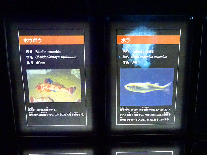 八景島シーパラダイス