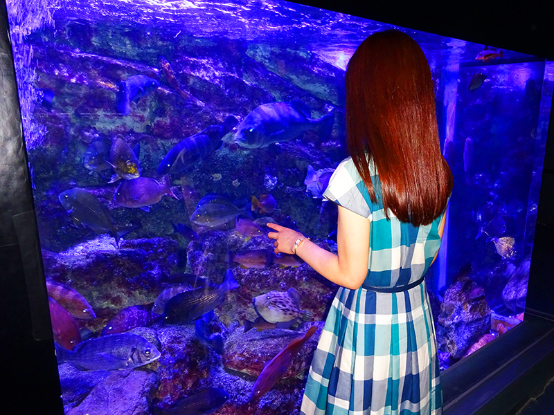 八景島シーパラダイス