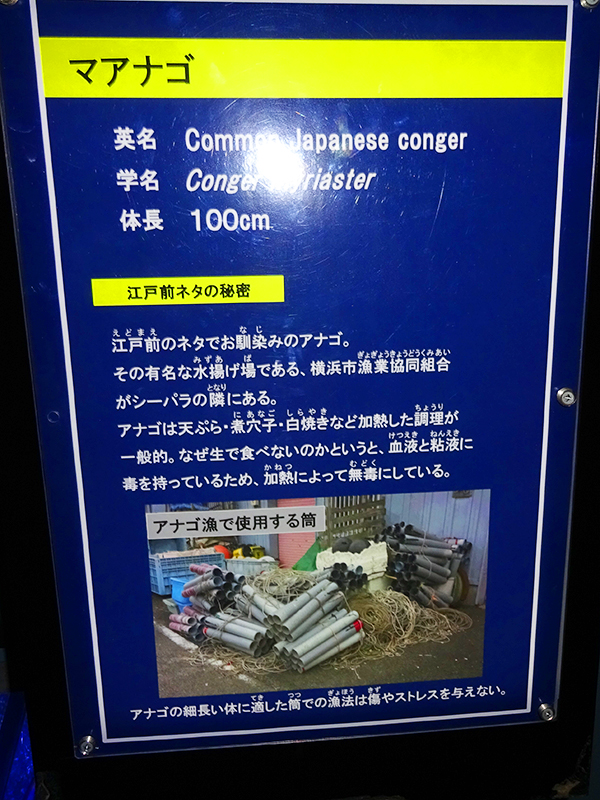 八景島シーパラダイス
