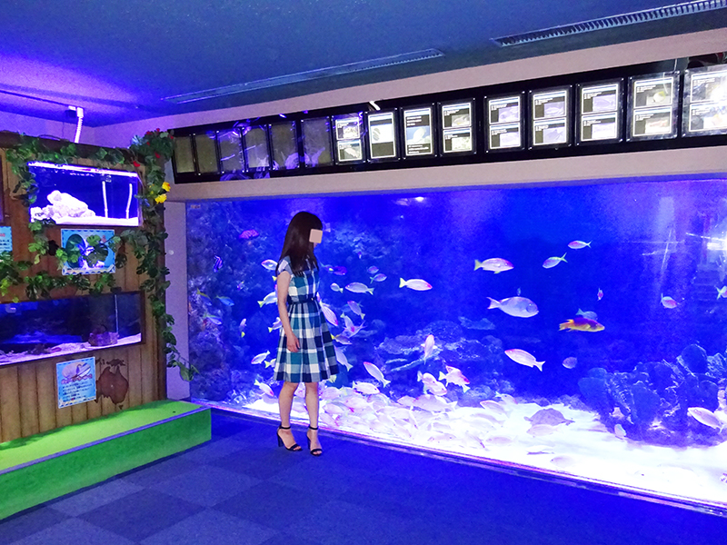 八景島シーパラダイス