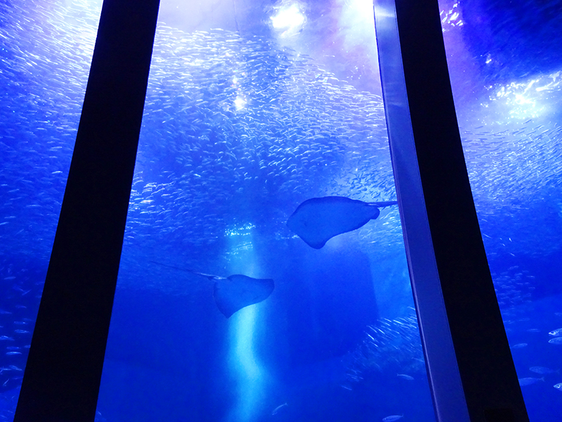八景島シーパラダイス