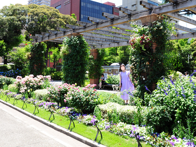 山下公園でぶら散歩♪