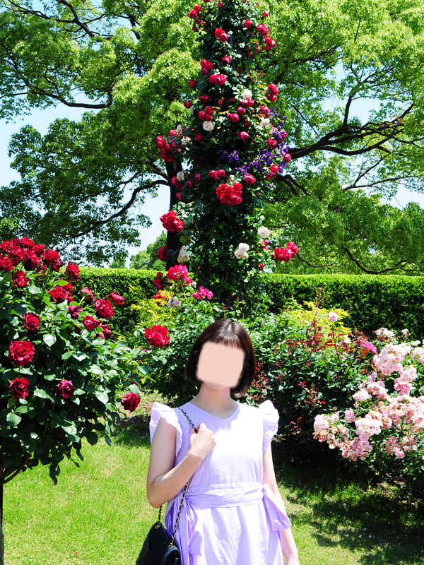 山下公園でぶら散歩♪