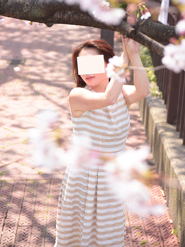 お花見ぶら散歩