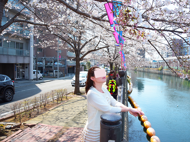 お花見ぶら散歩